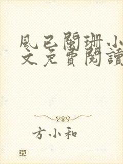 风已阑珊小说全文免费阅读最新章节封面