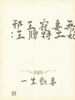 邪王宠妻无下限:王牌特工妃