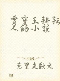 贾宝玉耕耘王夫人的小说封面