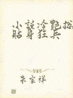 小说冷艳总裁的贴身狂兵