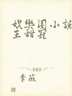 娱乐圈小说双男主甜宠