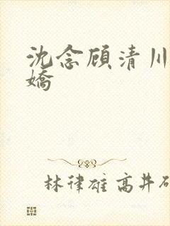 沈念顾清川李娇娇