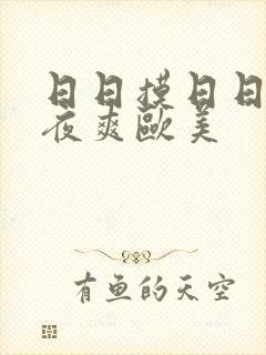 日日摸日日碰夜夜爽欧美