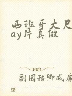 西班牙大尺度gay片真做封面