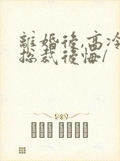 离婚后,高冷女总裁后悔/