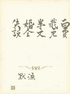 失婚半截白菜小说全文免费阅读封面