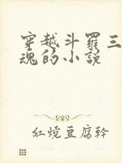 穿越斗罗三生武魂的小说封面