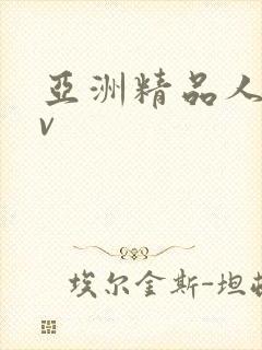 亚洲精品人妻av