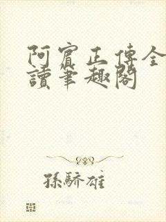 阿宾正传全文阅读笔趣阁