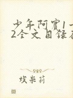 少年阿宾1一72全文目录在线