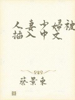 人妻少妇被猛烈插入中文