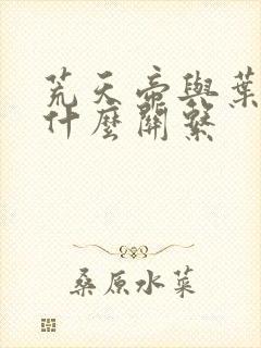 荒天帝与叶天帝什么关系