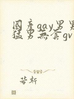 国产gay男男猛男无套gv动漫