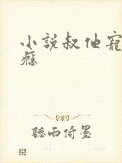 小说叔他宠妻上瘾