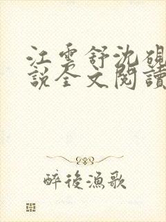 江云舒沈砚舟小说全文阅读封面