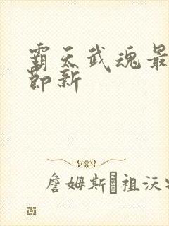 霸天武魂最新章节新