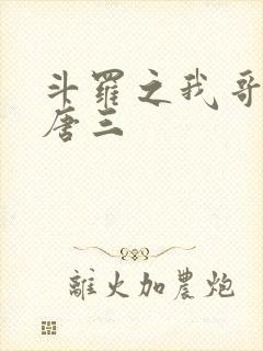 斗罗之我哥哥是唐三封面