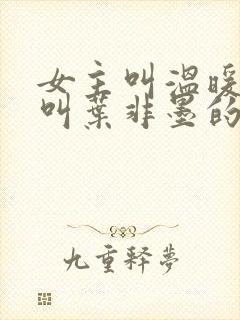 女主叫温暖男主叫叶非墨的小说名字