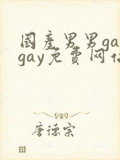 国产男男gaygay免费网站封面
