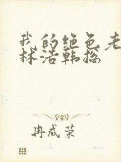 我的绝色老板娘林浩韩总