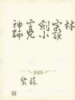神霄剑宗林枫大师兄小说封面