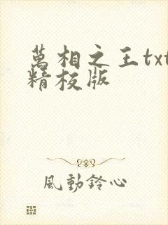 万相之王txt精校版