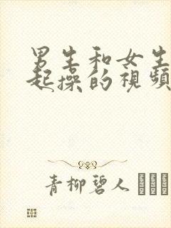 男生和女生在一起操的视频封面