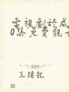 电视剧于成龙40集免费观看