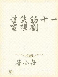 消失的十一层是电视剧