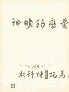 神明的恋爱游戏