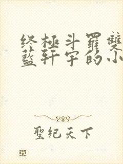 终极斗罗双男主蓝轩宇的小说封面