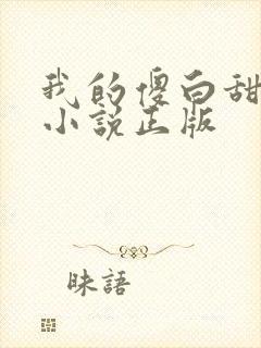 我的傻白甜老婆小说正版