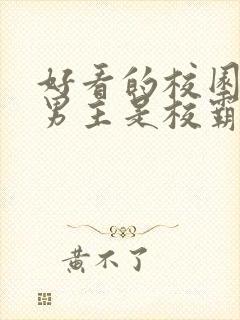 好看的校园小说男主是校霸