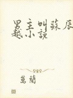 男主叫苏辰的穿越小说