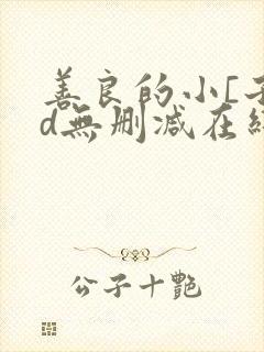 善良的小[子hd无删减在线播放韩国