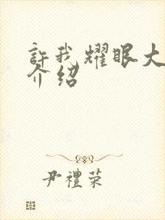 许我耀眼大结局介绍封面