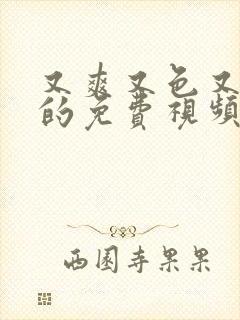 又爽又色又高潮的免费视频国产