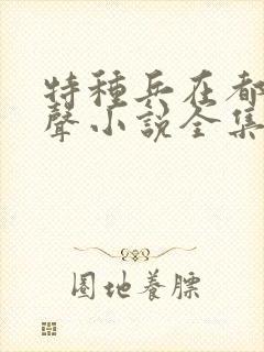 特种兵在都市有声小说全集