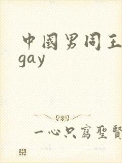 中国男同王伦宝gay
