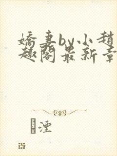 娇妻by小赵笔趣阁最新章节更新时间