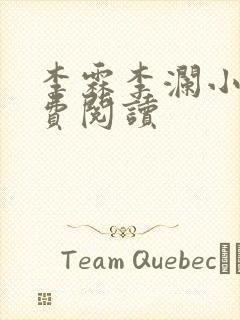 李霖李澜小说免费阅读封面