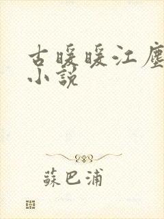 古暖暖江尘御 小说封面