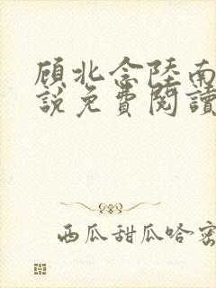 顾北念陆南辰小说免费阅读无弹窗