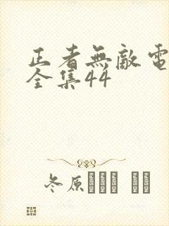 正者无敌电视剧全集44