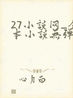 27小说网_全本小说无弹窗免费阅读封面