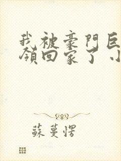 我被豪门巨佬们领回家了 小说