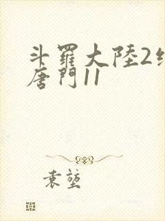 斗罗大陆2绝世唐门11封面