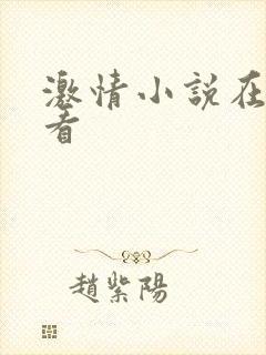 激情小说在线观看