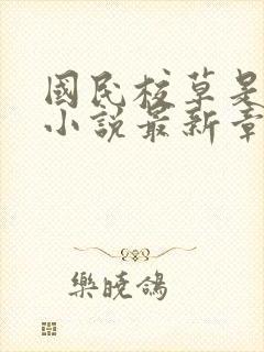 国民校草是女生小说最新章节阅读