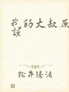 我的大叔原著小说封面